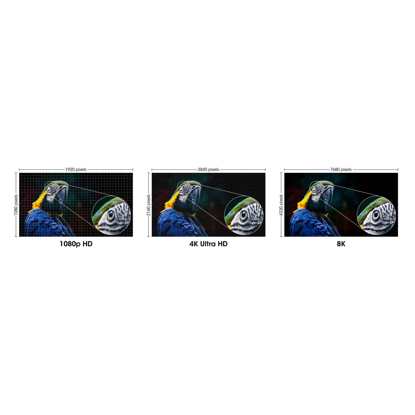 8K@60Hz Mini DisplayPort to DisplayPort 1.4 Cable, 3 m (10 ft.) Image 7