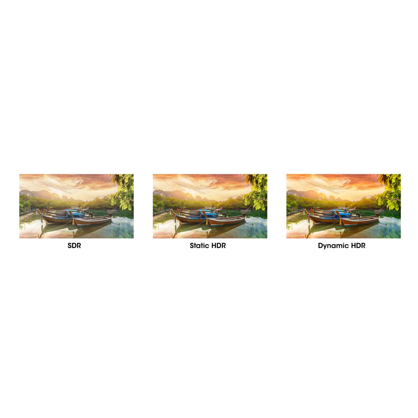 8K@60Hz Mini DisplayPort to DisplayPort 1.4 Cable, 3 m (10 ft.) Image 8