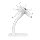 Anti-Theft Desktop Kiosk Stand for Tablet and iPad Image 7