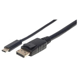 USB-C to DisplayPort Adapter Cable Image 1